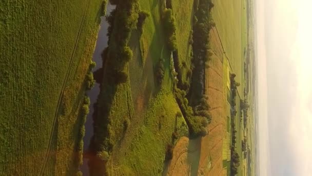 Pionowe Wideo Widok Powietrza Ukrainę Lot Nad Ukraińskim Krajobrazem Nad — Wideo stockowe