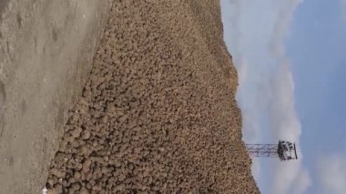 Dikey video. Sonbahar sahneleri. Şeker pancarı hasat ettim. Şeker fabrikasının yanında katlanmış. Arka planda mavi gökyüzü. Bir İHA ile ateş etmek