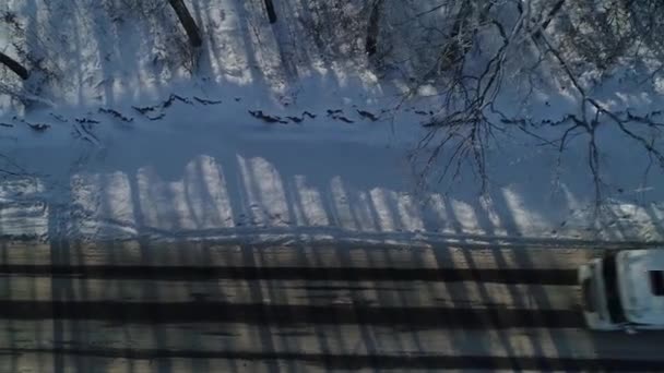 Pionowe Wideo Ciężarówka Jedzie Śnieżnej Śliskiej Drodze Pokrytej Śniegiem Widok — Wideo stockowe