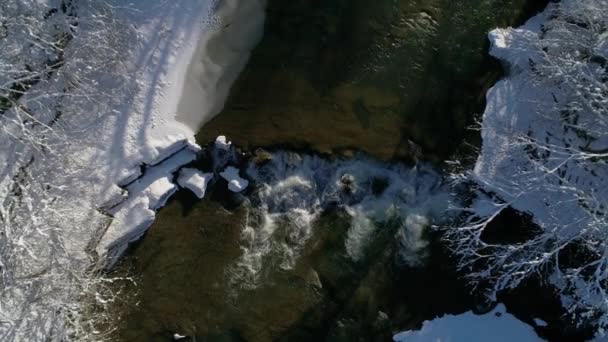 空中风景 在一个阳光明媚的冬日 飞越一条清澈的河流 河岸上的树被雪覆盖着 — 图库视频影像
