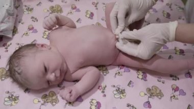Eldivenleri teslim eden bir doktor yeni doğmuş bir bebeğin göbek bağına beyaz bir kelepçe takar. Doğum servisi..