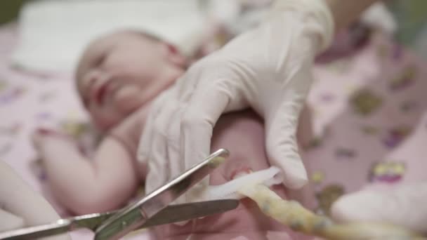 医生的手戴着白手套 用剪刀割断了新生儿的脐带 产科病房 — 图库视频影像