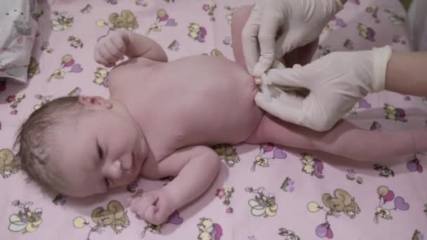 Doctors Hands Gloves Fasten White Clamp Umbilical Cord Newborn Baby — Stock Video