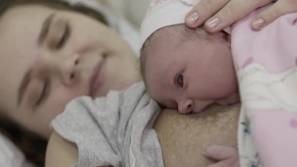 Woman Breastfeeding Newborn Baby Mother Breastfeeding Newborn Girl Lying Bed — Stock Video