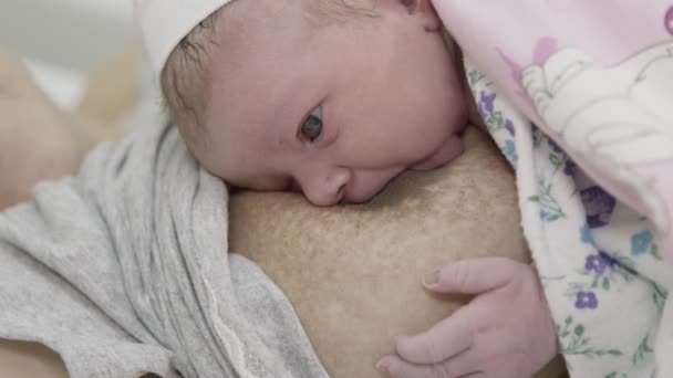 First Feeding Newborn Girl Baby Sucks Milk Mothers Breast Close — Stok Video