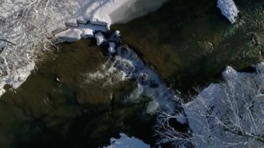 Aerial view. Flight approaching a mountain wild clear river on a winter sunny day. The trees on the banks are covered with snow. Nature of Ukraine.