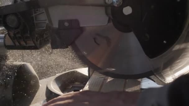 Circular Saw Cuts Wooden Board Chip Flying Air Illuminated Sunlight — ストック動画