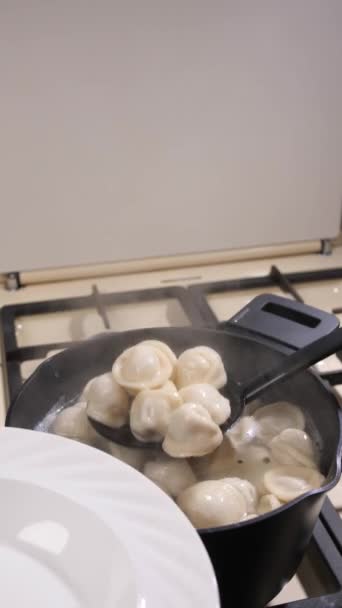 Vertical Video Prepared Dumplings Transferred Black Plastic Spatula Pot Were — Stock Video