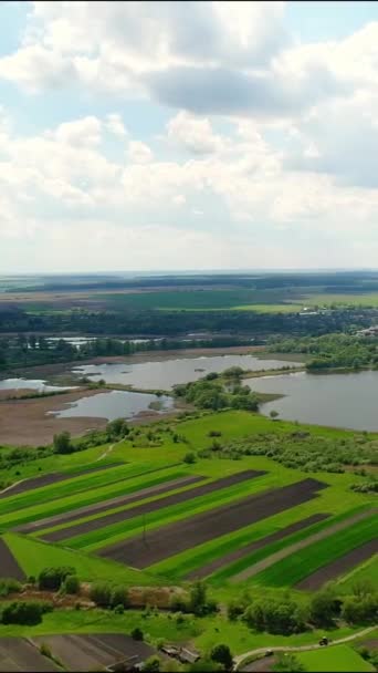 垂直录像 农业用地的空中景观 渔业的池塘和湖泊 乌克兰村 — 图库视频影像