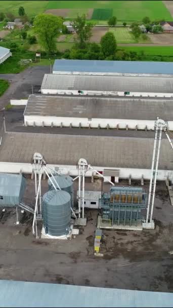 Vertical Video Aerial View Farm Elevator Territory White Buildings Livestock — Video Stock