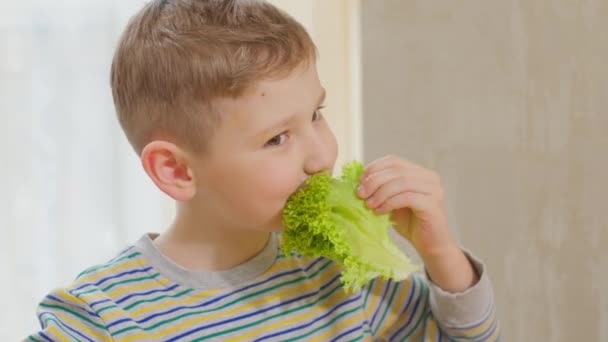 茶色の髪の白人の少年は喜んで自然のサラダの葉を食べる 子供の健康的なビタミンの栄養 — ストック動画