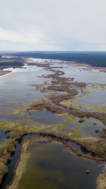 ウクライナ西部で春の洪水 畑や牧草地の洪水 自然現象だ 空中風景 — ストック動画