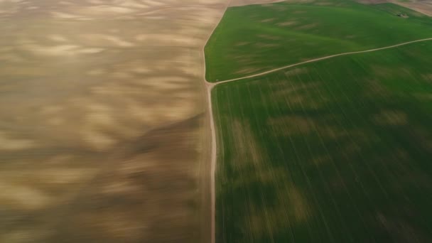 Landwirtschaftliche Flächen Ausgesäte Frühlingsfelder Luftaufnahme — Stockvideo