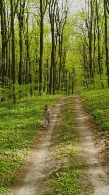 Dikey video. Sarı saçlı, Ukraynalı küçük bir çocuk bahar ormanlarında orman yolunda mutlu mesut koşuyor. Ağaçlarda çimenlerin üzerinde küçük yeşil yapraklar var..