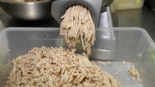 Kıyma Makinesindeki Rulo Ekmeğin Plastik Kutuya Düşmesi Köfte Pişirmek Için — Stok video
