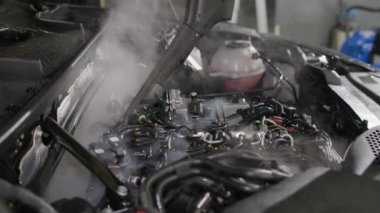 Buhar kullanarak motordaki kiri zararsız bir şekilde temizledim. Araba bakımı, temizlik motoru.