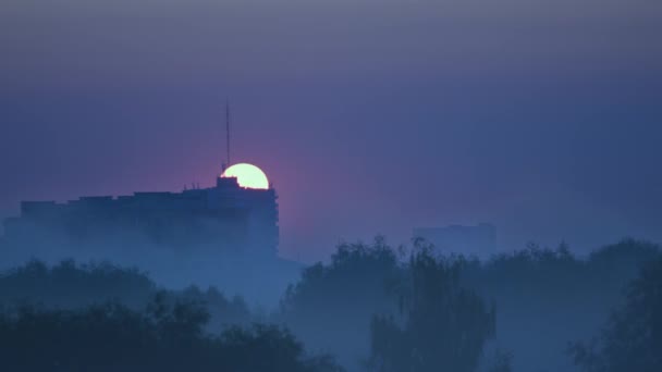 太阳升起在城市高楼的屋顶上 雾在树林中的移动 住宅部门周围的自然 夏天早上的光变了 — 图库视频影像