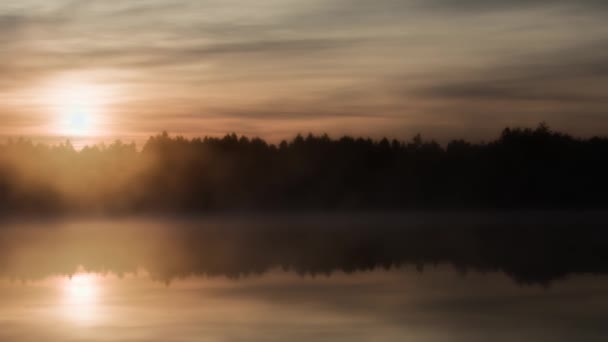 晨雾笼罩着水面 映照着森林覆盖的海岸线 还有天空中的日出 从全景看自然 — 图库视频影像