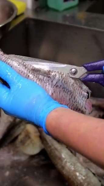 Vídeo Vertical Limpiar Pescado Congelado Que Encuentra Fregadero Cocina Los — Vídeo de stock