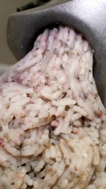 垂直录像 海鱼扭曲的鱼片从电子烤肉机的孔中产生了均匀的质量 用于烹调的切肉生产 — 图库视频影像