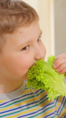 Dikey video. Kahverengi saçlı beyaz çocuk doğal salata yapraklarını zevkle yer. Çocuğun sağlıklı vitamin besin değeri.