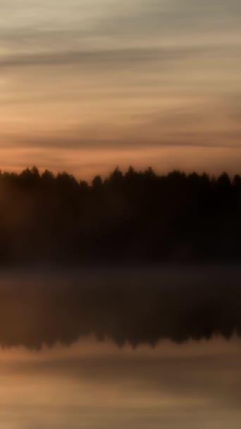 垂直录像 晨雾笼罩着水面 映照着森林覆盖的海岸线 还有天空中的日出 从全景看自然 — 图库视频影像