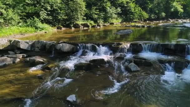 空中风景 一条清澈的山河快速流过石流 在树梢上 — 图库视频影像