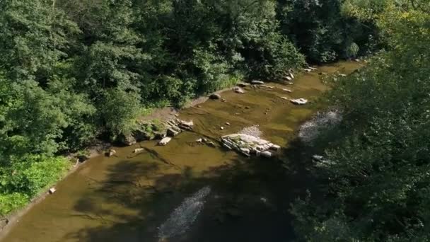 Hava Görüntüsü Kayalık Akıntıların Üzerinden Akan Temiz Suyla Bir Dağ — Stok video