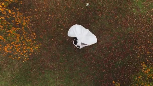 新郎把新娘抱在怀里 和她一起在秋天的树上纺纱 空中景观 — 图库视频影像