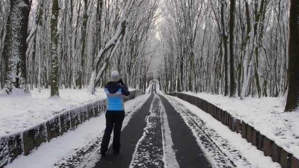 Прогулянка Самотньою Жінкою Засніженому Лісі Вона Фотографує Зимові Дерева Снігом — стокове відео