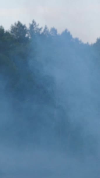 Video Verticale Nell Aria Fumo Sembra Nebbia Sullo Sfondo Alberi — Video Stock
