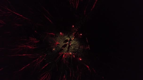 무리의 사람들 나무들 사이에 스크린을 바라봅니다 빛나고 불이타오르고 있습니다 공중에서 — 비디오