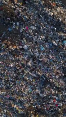 Vertical video. Birds sit on the garbage of the city landfill. The concept of pollution by polyethylene, the danger of ecology. Air look.