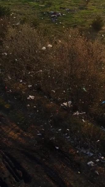 Вертикальное Видео Загрязнение Пластиковыми Пакетами Пластиковый Мусор Свисает Ветвей Деревьев — стоковое видео
