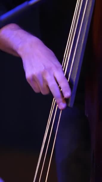 Vertical Video Close Musicians Hands Pick Strings Double Bass Fingers — Stock Video