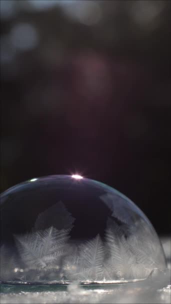 垂直录像 肥皂泡在冬日的阳光下结冰了 创造霜冻 冻结世界的概念 — 图库视频影像