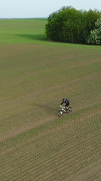 Függőleges Videó Egy Felnőtt Férfi Biciklizik Egy Mtb Lefelé Vetésmezőn — Stock videók