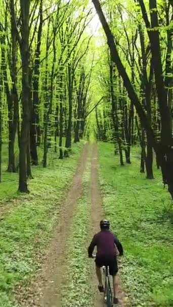 비디오 Mtb 자전거를 나무와 자연의 풍경을 남자의 스포츠 — 비디오