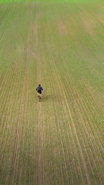 Dikey Video Yetişkin Bir Adam Ekili Arazide Dağ Bisikleti Sürüyor — Stok video