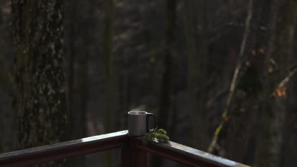 在寒冷的天气里 在树后的金属杯子里 有热气腾腾的液体 自然和休息与茶 在森林和公园里散步的概念 — 图库视频影像