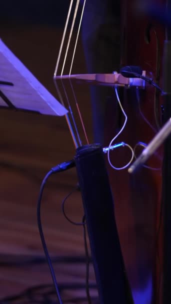 バーティカルビデオ クローズアップ ミュージシャンのパノラマは指でダブルベースの弦を選ぶ サウンドレコーディング用ダブルベース演奏のミュージシャンのコンセプト — ストック動画