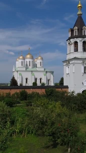 Dikey Video Svyatogorsky Varsayımı Zymna Stauropean Manastırı Kilisenin Yaldızlı Kubbelerinin — Stok video