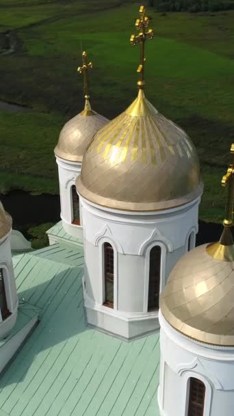 Vertical Video Svyatogorsky Assumption Zymna Stauropean Monastery Flying Gilded Domes — Stock Video