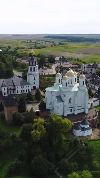 Vídeo Vertical Aerial Shot Village Zymne Suposição Svyatogorsky Mosteiro Zymna — Vídeo de Stock