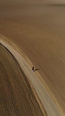 Dikey video. Tarlalar arasında, bir kadının yürüdüğü toprak bir yol, bir SUV tarafından ele geçirilir. Doğal manzaralı seyahat ve macera konsepti. Hava görünümü.