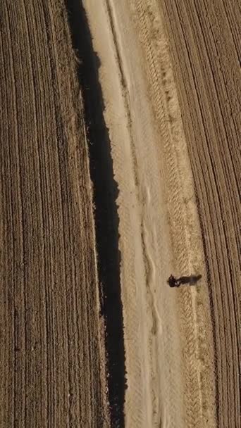 垂直录像 一个孤独的女摄影师和她的影子在一条土路上走过播种的田野 他停下来射击 空中景观 — 图库视频影像