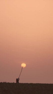 Dikey video. Bir çocuğun silueti yükseltilmiş bir sopayla güneşe uzanıyor. Doğanın minimalist konumu. Gün batımı, gökyüzü ve ufuk. Bir hayale, amaca, hayatta gerçeğe ulaşma kavramı.