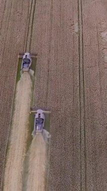 Dikey video. Hava görüntüsü. Yaz öğleden sonra olgun buğday tarlalarını hasat eden iki kişi. Hasat mevsimi. Gezegeni ve tarım endüstrisini besleme kavramı.