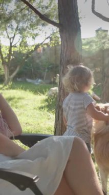 Dikey video. Bahçedeki bahçede iki kızı olan bir anne. Büyük kız bir tavşan tutuyor, küçük kız bir köpeği tasmasından tutuyor. Bir kadın sandalyede dinleniyor. Hayvanlar için aşk.