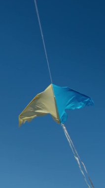 Dikey video. Kuş şeklinde sarı-mavi bir uçurtma. Gökyüzü açık. Ukrayna 'nın özgürlük kavramı.